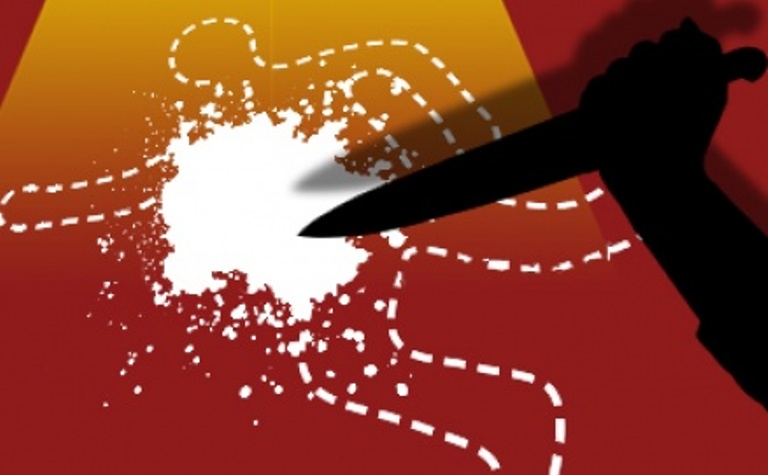 CREATOR: gd-jpeg v1.0 (using IJG JPEG v62), quality = 95